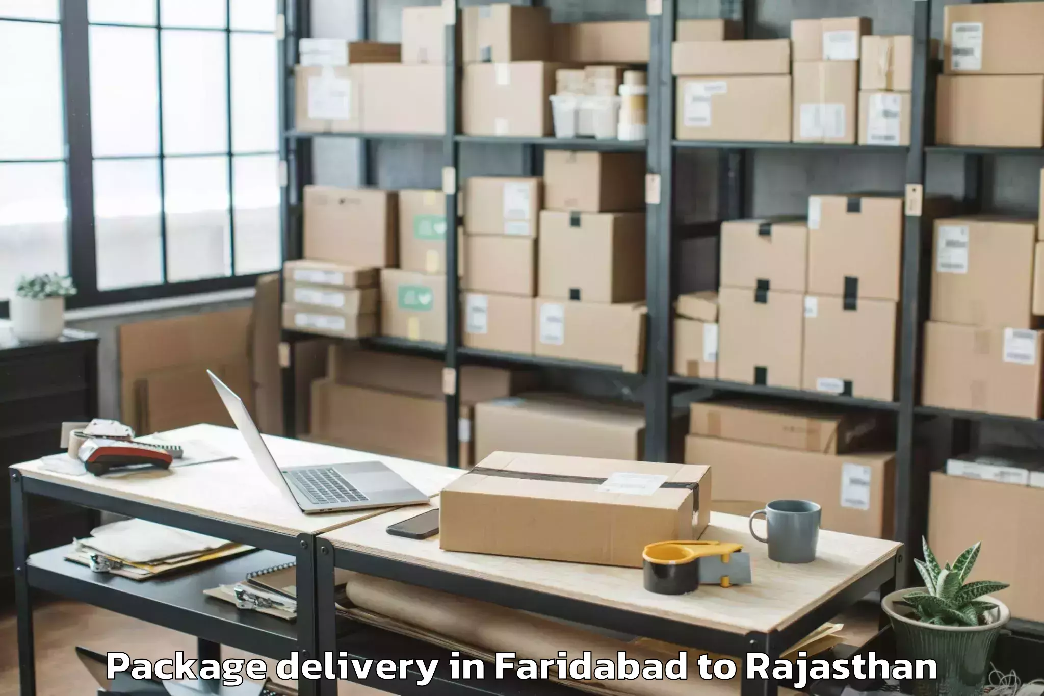 Get Faridabad to Sunrise University Alwar Package Delivery